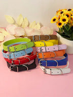 Pet Supplies, Punk Style Pu Leather Multi-Color Dog Collar For Medium And Small Sized Dogs