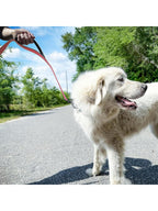 Heavy Duty Double Handle Dog Leash With Reflective Strips For Night Safety - Ideal For Large And Extra Large Breeds - Perfect For Outdoor Walking And Training