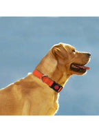 MITOOE 1pc Reflective Dog Collarwith Safety Locking Buckle Adjustable Soft Neoprene Padded Breathable Nylon Pet Collar For Small Medium Large Dogs