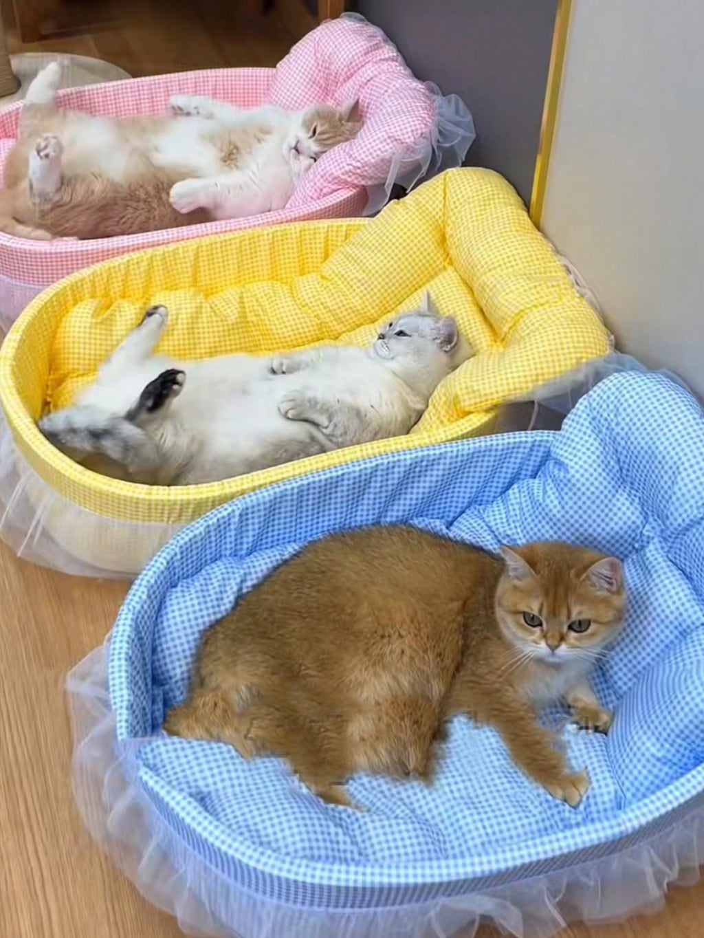 1pc Four Seasons Universal Cute Pet Bed, Cat Bed, Dog Bed, Suitable For Cats And Small Dogs Up To 6kg (Lace Color Is Shipped Randomly)