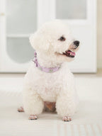 Sparkling Rhinestone Flower Dog Collar, Gradient Colorful Style, Luxurious And Flashy, Adjustable