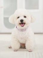 Sparkling Rhinestone Flower Dog Collar, Gradient Colorful Style, Luxurious And Flashy, Adjustable