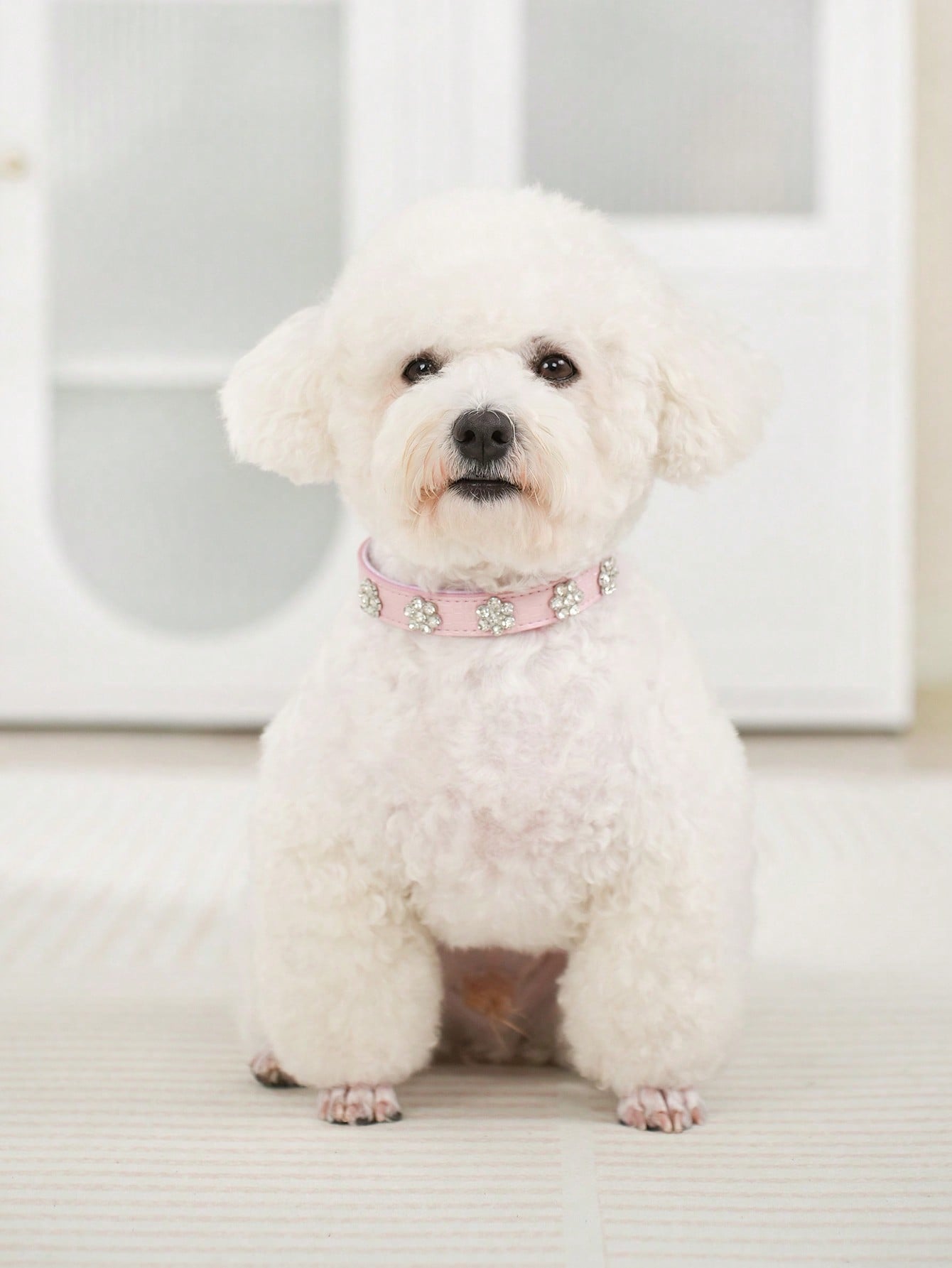 Sparkling Rhinestone Flower Dog Collar, Gradient Colorful Style, Luxurious And Flashy, Adjustable