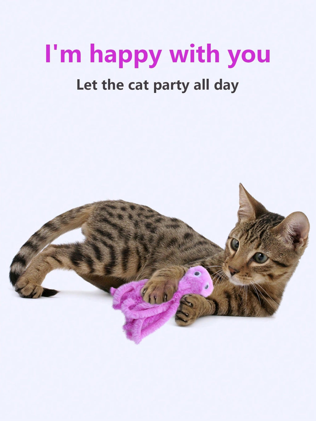 Cat Toys, Octopus Cat Stick Set, Three Section Cat Stick Assembly, Cat Rod, Cat Toys, Kitten Kitten, Kitten, Grind Teeth, Cat Toys, Biting Cat Toys, Playing Interactive Toys