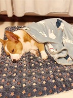 Luxury Plush Pet Blanket, Thick Warm Breathable Soft Comfortable Pet Cat Dog Bed Mat,Machine Washable, Indoor Blanket Suitable For All Sizes Of Pets In Winter