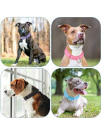 Dog Neck Leash For Outdoor Walking Adjustable Neck Leash For Dogs Sturdy Martingale Nylon Dog Collar Adjustable Soft Puppy Pet Collar For Small Large Dogs Training Control Prevents Slipping Out