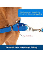 Dog Neck Leash For Outdoor Walking Adjustable Neck Leash For Dogs Sturdy Martingale Nylon Dog Collar Adjustable Soft Puppy Pet Collar For Small Large Dogs Training Control Prevents Slipping Out