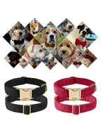 Soft Velvet Dog Collar, Heavy Duty Dog Collar With Quick Release Metal Buckle, Suitable For Small, Medium And Large Dogs, Can Be Gift For Your Pet