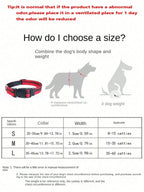 1pc Retractable Dog Leash, Portable Pet Leash Adjustable Nylon Extending Lead For Small Medium Large Dogs
