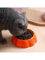 4 Cute Designs Pet Ceramics Bowl Watermelon Strawberry Shape Food Bowl Small Dog Colorful Suppliers Bowl