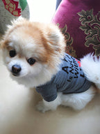 2pcs Dog Clothes Summer Lightweight Cute Breathable Small Dog Vest T-Shirt Suit, For Small/Medium Breeds