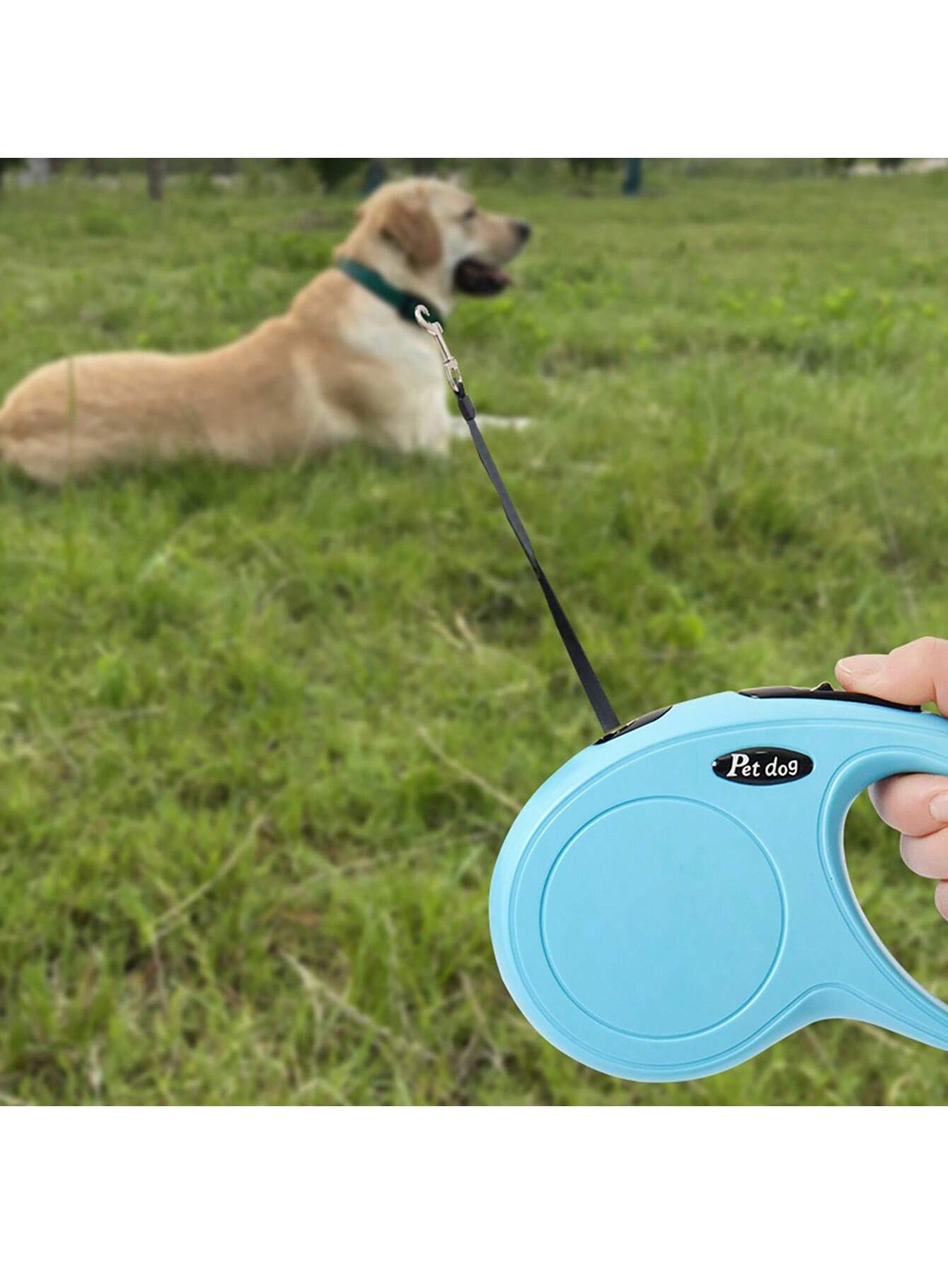 Extendable Pet Leash, Small/Medium/Large Dog Leash, Essential Pet Supply, Collision-Proof Dog Walking Lead, Outdoor Product
