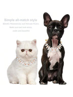 CGLLCute Cat And Dog NecklaceDog Cat Pearl Collars With Cute Pet Paw Gold Chain Stainless Steel Collars Necklace Adjustable Collar Dog Chain Cat White Pearl Pet Collar White S LHCG5102
