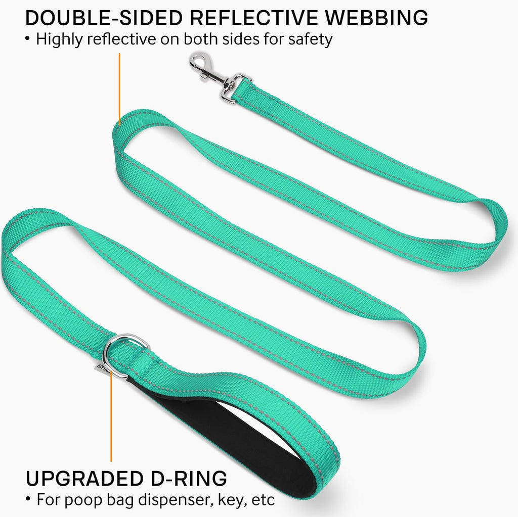 Joytale Dog Leash, 6 FT Double-Sided Reflective, Padded Handle Nylon Heavy Duty Leashes for Medium & Large Dogs Walking, Teal, 6FT