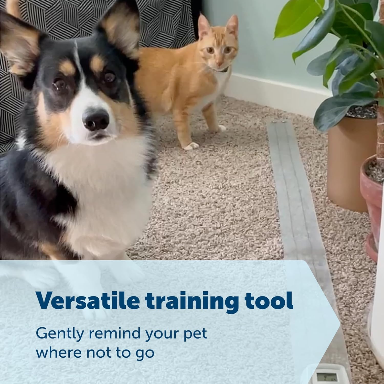 PetSafe ScatMat Indoor Training Mat