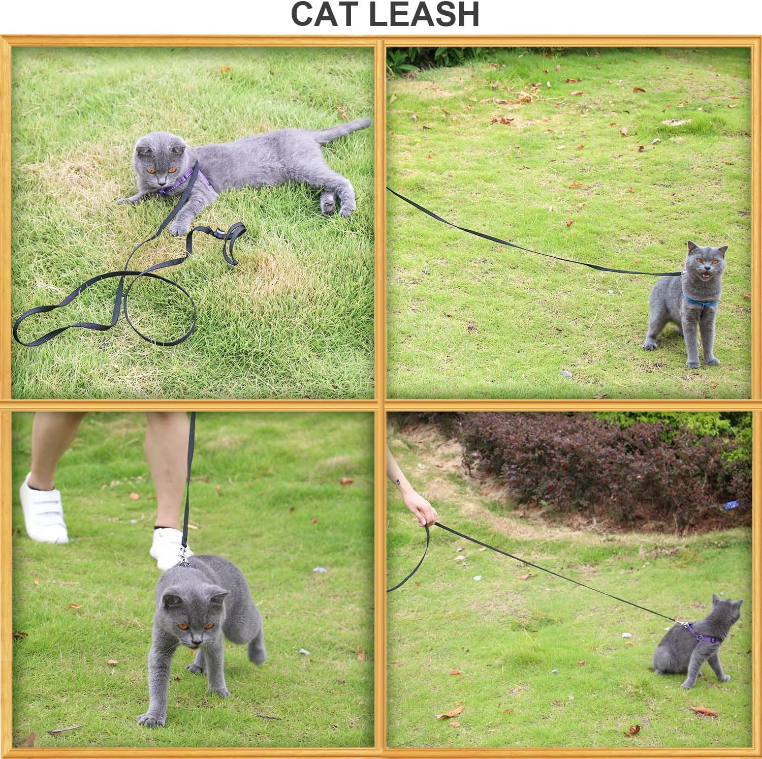 AMAGOOD 6 FT Cat Leash, Strong and Durable Traditional Style Leash with Easy to Use Collar Hook,Cat Lead Great for Cats (3/8 in x 6 ft,Black and Pruple(2-Pack))