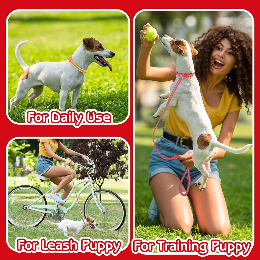 Dog Collar with Bell and Leash Set, Nylon Reflective Kitten Collars Girls Boys for XXS XS Small Pet Animal Litter Tiny Kitten Cat, Purple