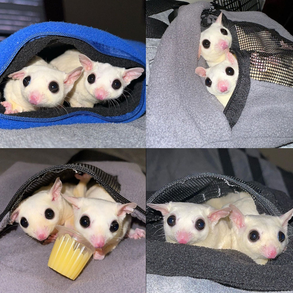 Economy Carry Pouch