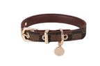 Trendy Floral Pet Collar for Dogs and Cats